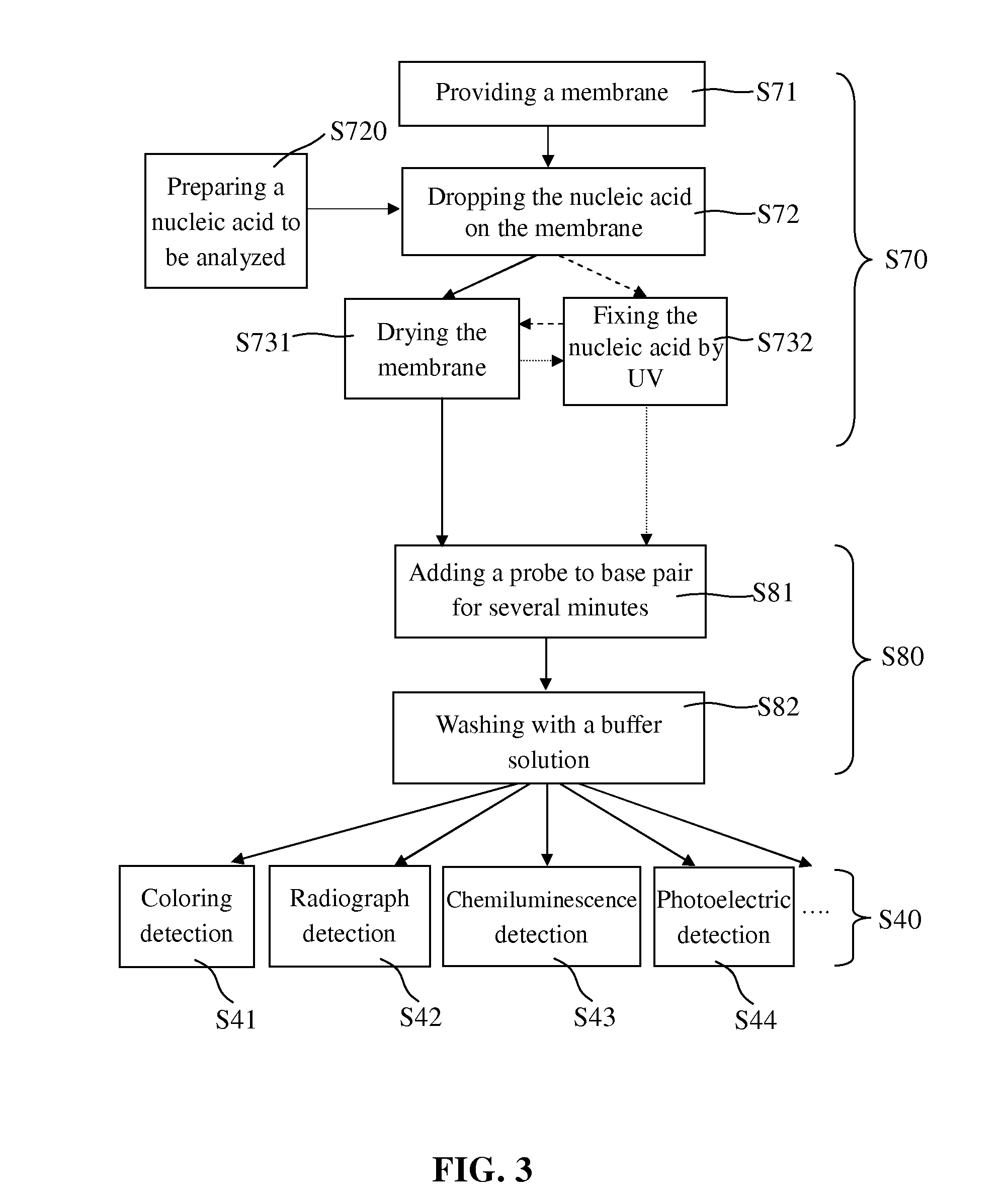 Blotting Method for Rapidly Analyzing Nucleic Acid