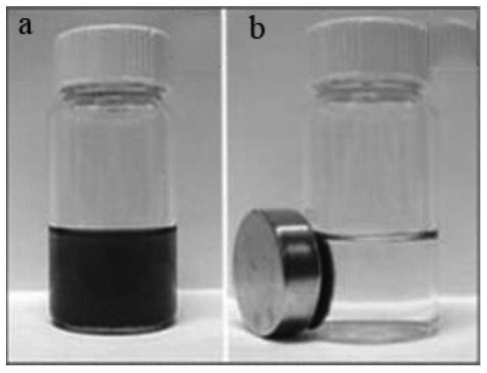 A method for preparing one-dimensional magnetic nanowires for biochemical analysis