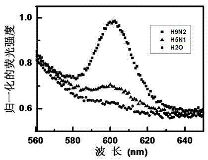 Method and detection kit used for detecting virus