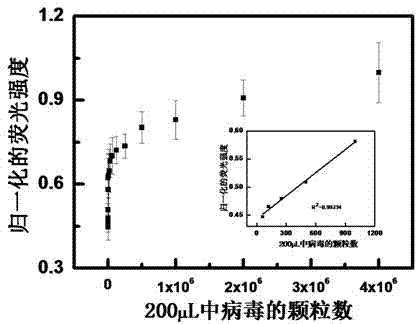 Method and detection kit used for detecting virus