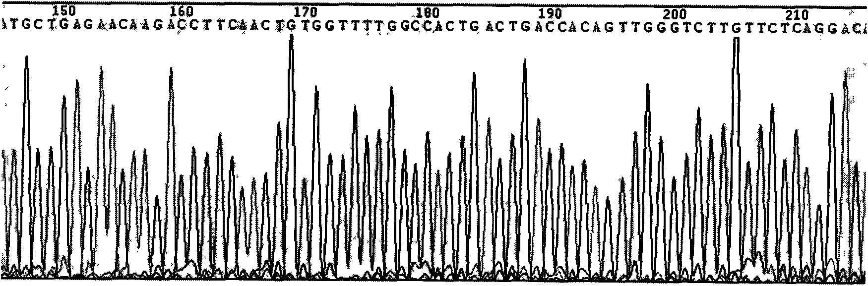 Gene expression down-regulated vector of cell specificity ndrg2