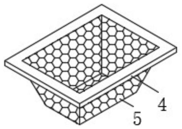 Forestry seedling culture box with classification function