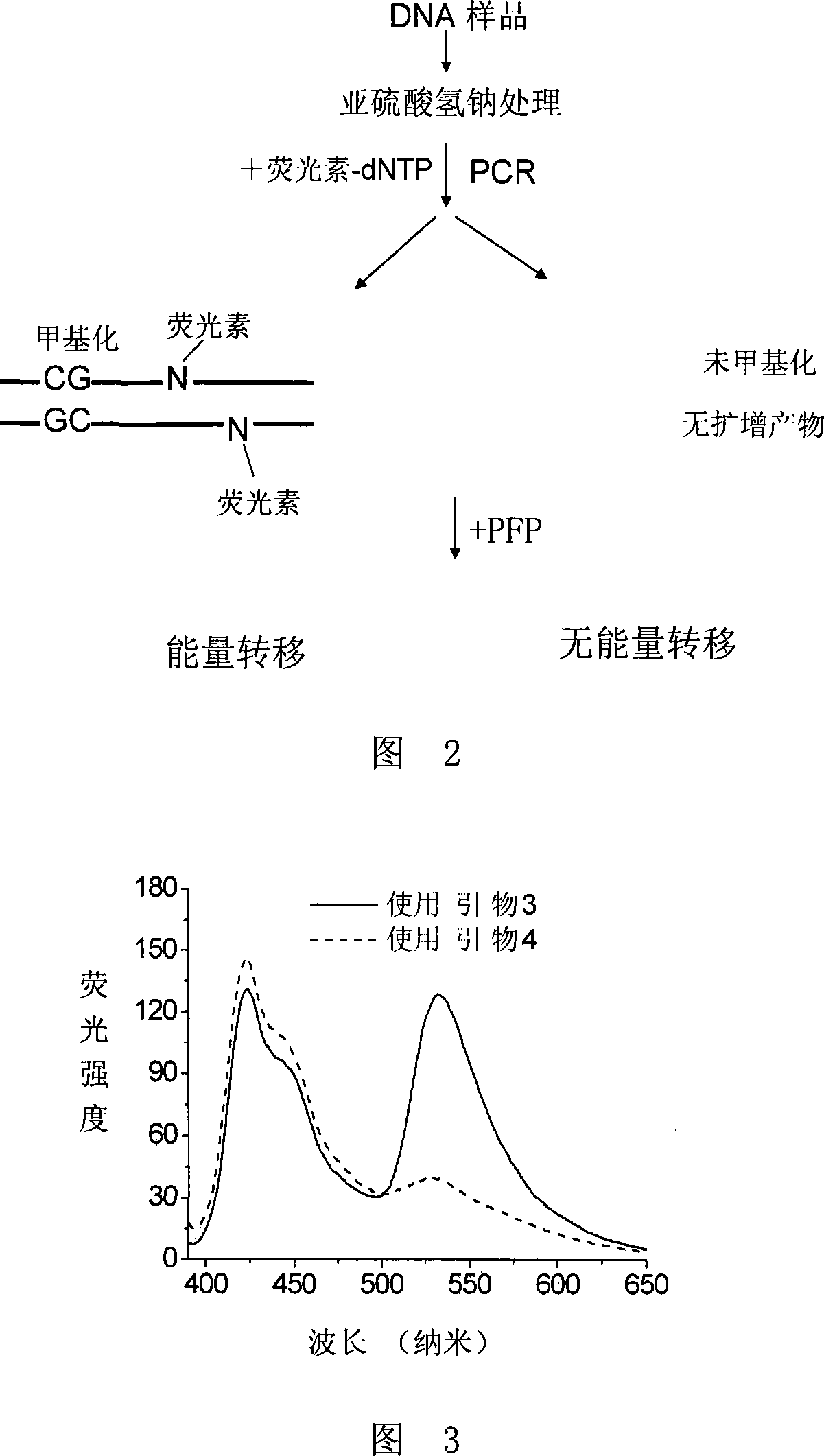 Method for detecting DNA methylation