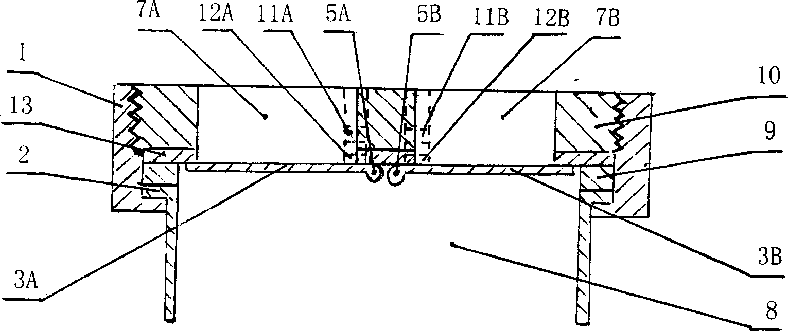 Big flow magnetic check valve