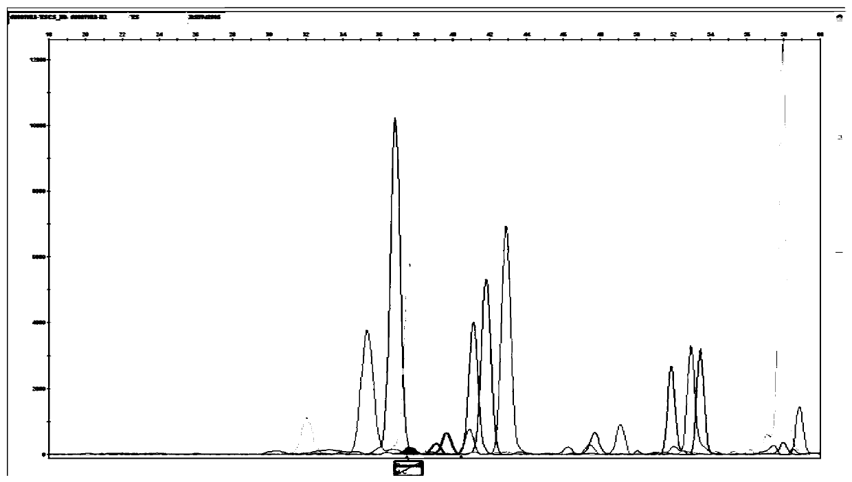 Test kit for detecting folic acid metabolic pathway related genes