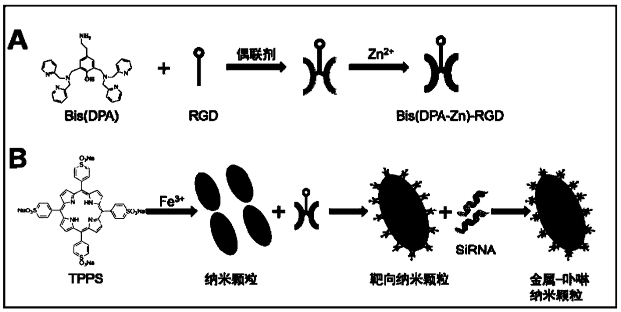 Metal-porphyrin nano-particles with sonodynamic therapy effect as well as preparation method and application thereof