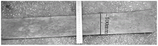 Duplex stainless steel thin strip and near-net shaping preparation method thereof