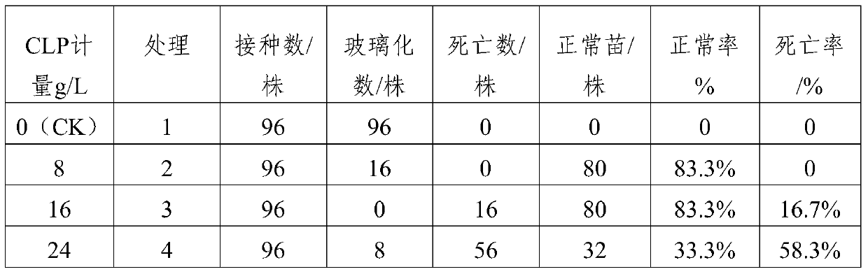 Method for Overcoming Vitrification of Carnation Stem Tip Culture by Using High Molecular Absorbent Resin