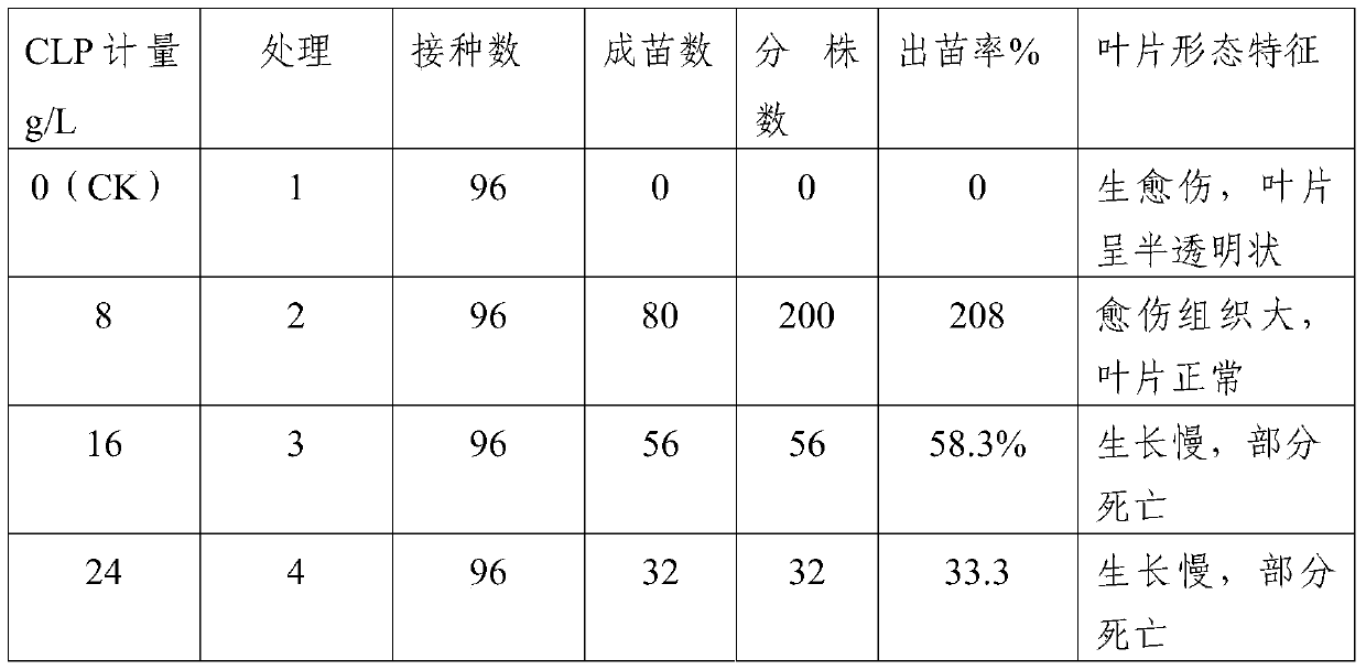 Method for Overcoming Vitrification of Carnation Stem Tip Culture by Using High Molecular Absorbent Resin