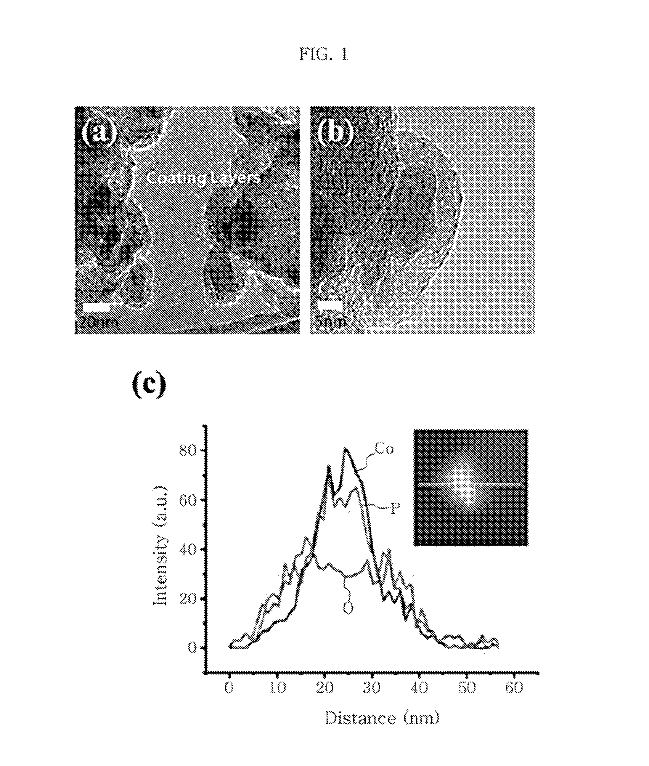 Non-precious metal based water electrolysis catalyst for oxygen evolution at anode and hydrogen evolution at cathode and preparation method of the same