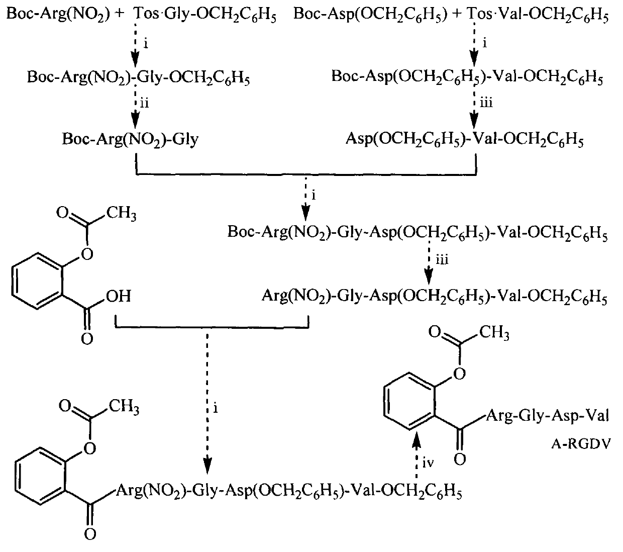 Aspirin-Arg-Gly-Asp-Val conjugate, synthesis, nano structure, and application thereof as drug carrying system