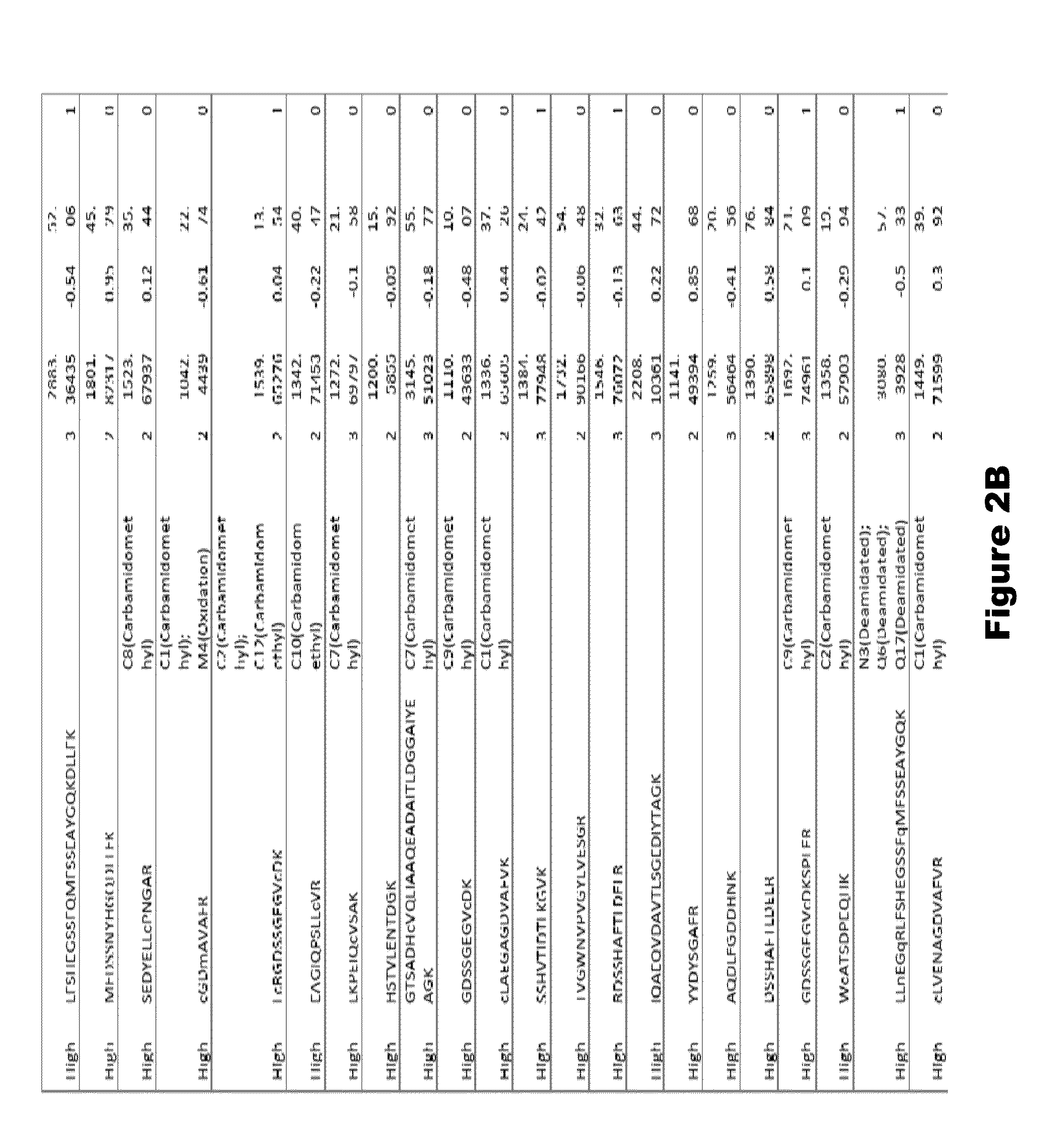 Fragments of p97 and uses thereof