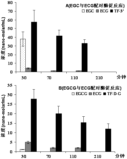 Method for increasing fresh tealeaves enzymatic-synthesized theaflavin productive rate