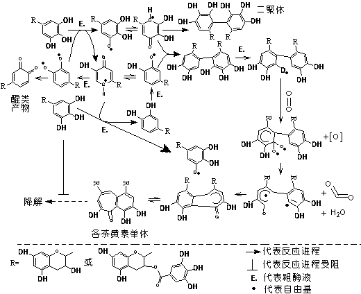 Method for increasing fresh tealeaves enzymatic-synthesized theaflavin productive rate