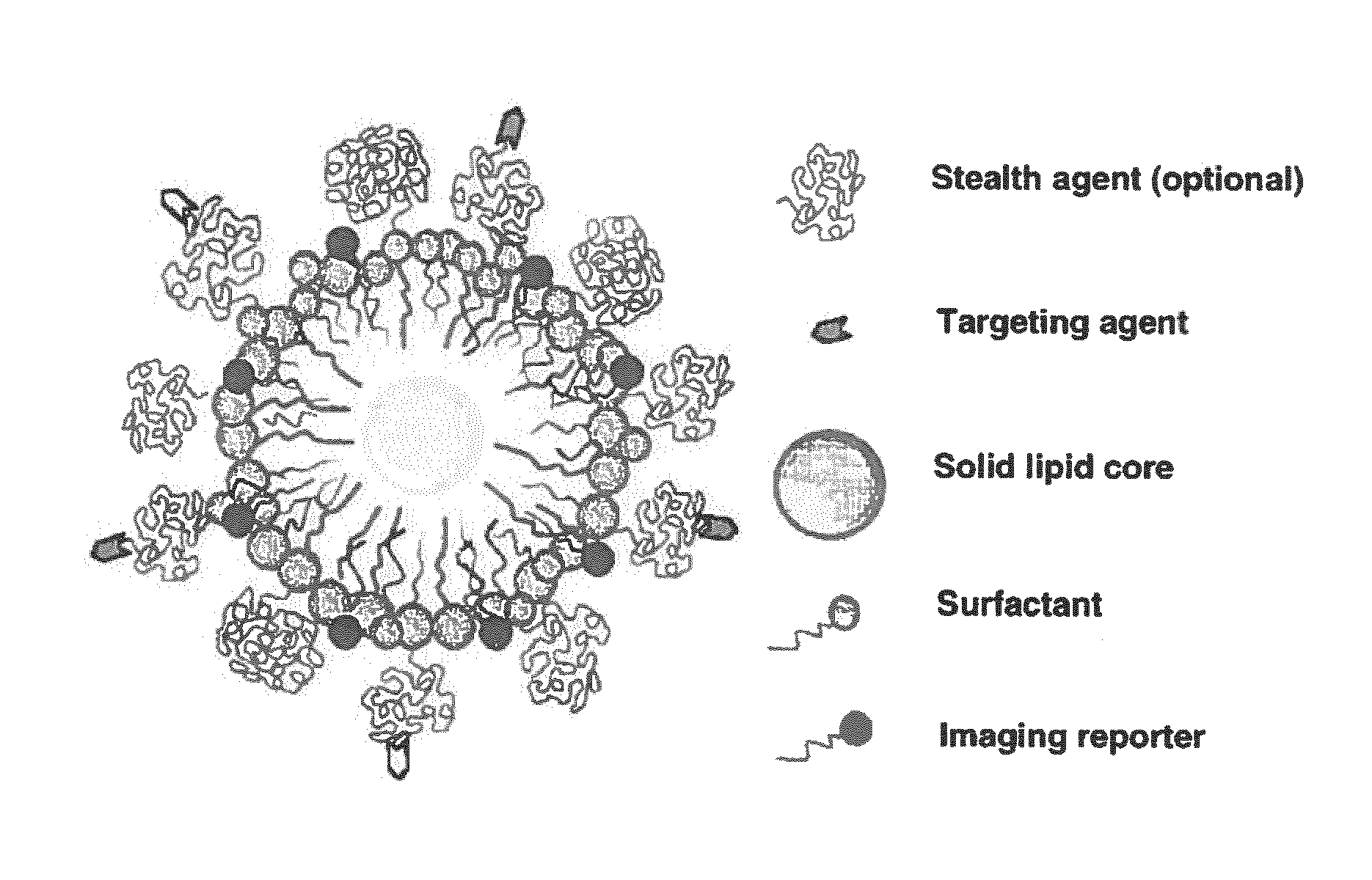 Paramagnetic Solid Lipid Nanoparticles (pSLNs) Containing Metal Amphiphilic Complexes For MRI