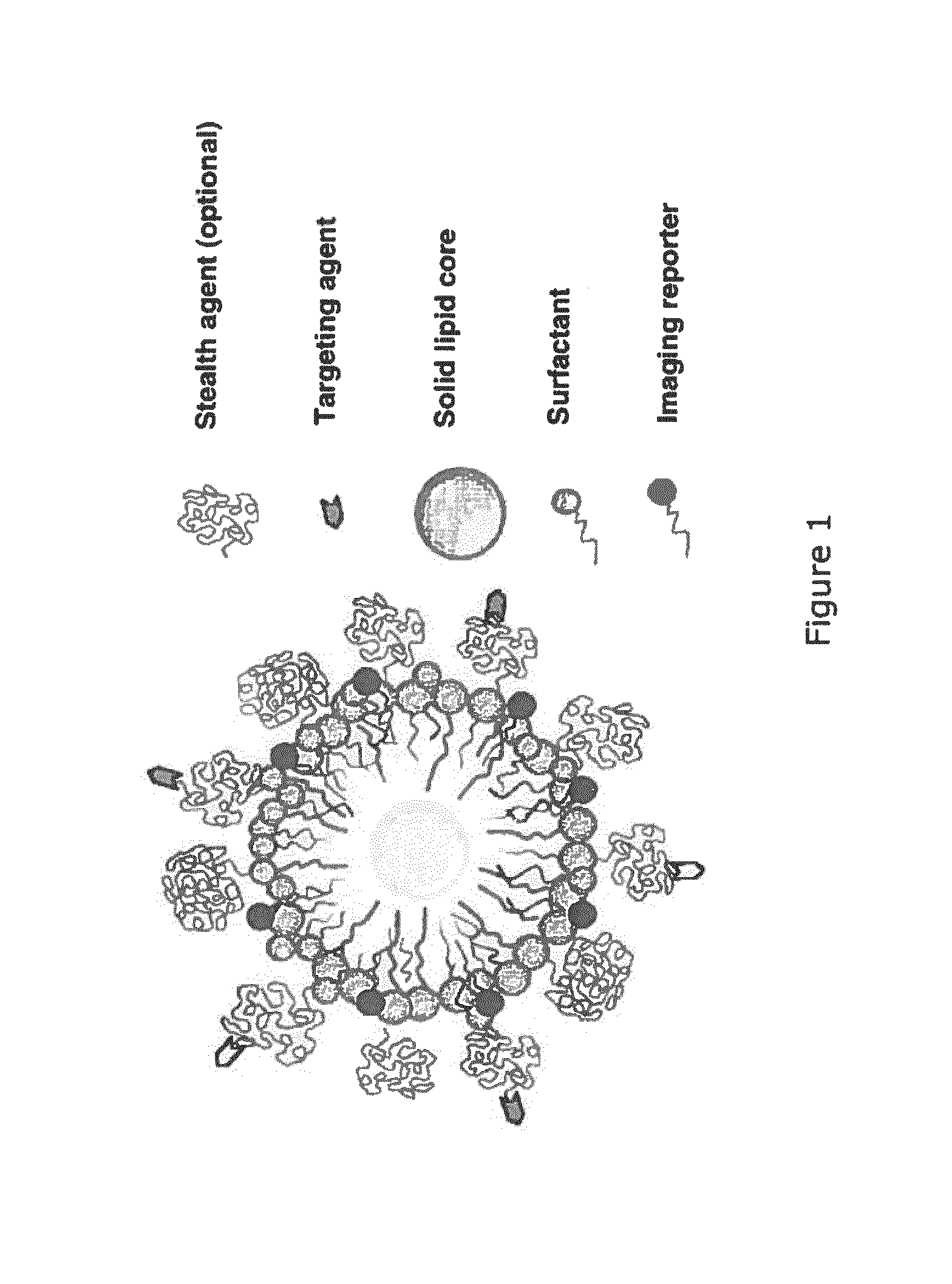 Paramagnetic Solid Lipid Nanoparticles (pSLNs) Containing Metal Amphiphilic Complexes For MRI