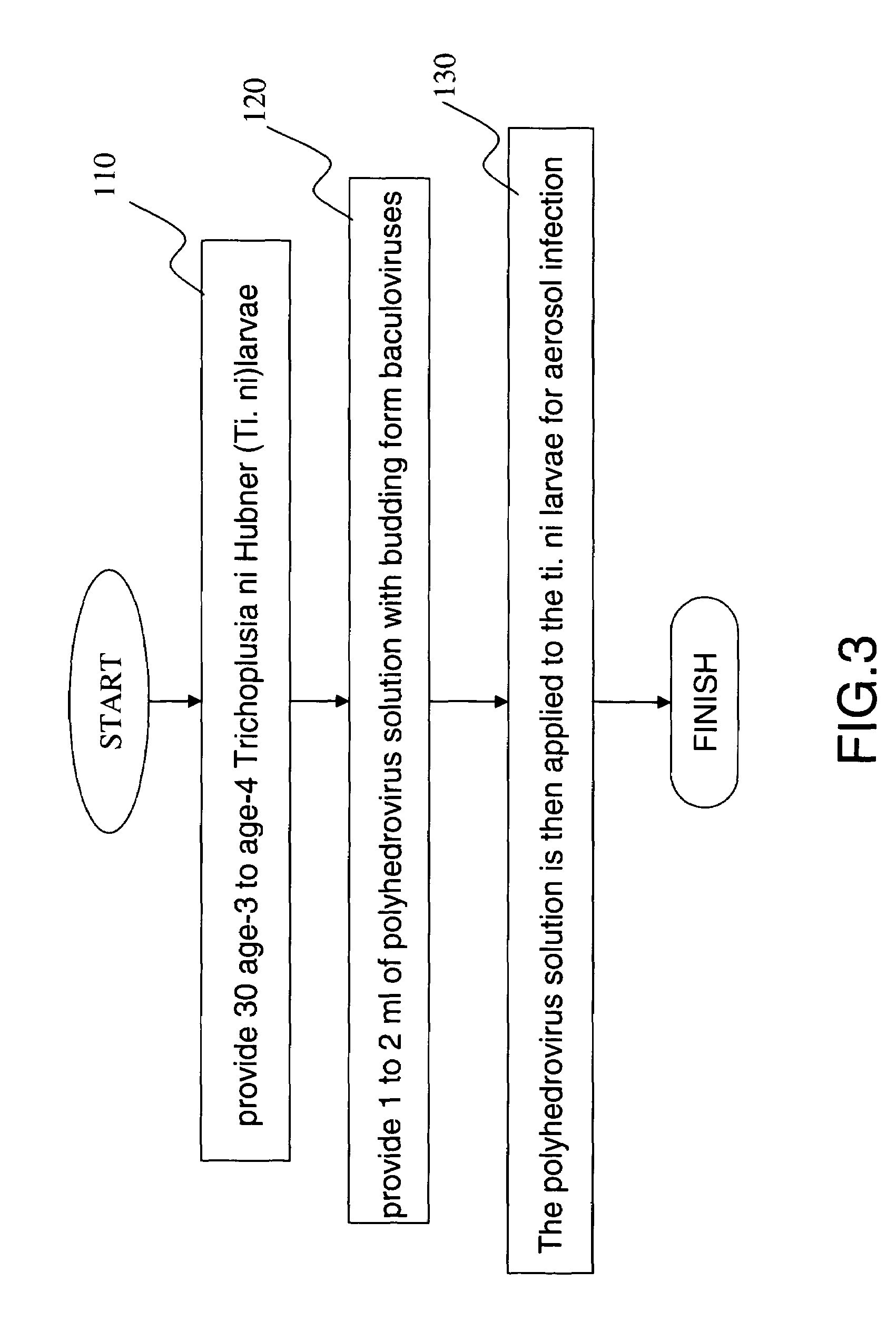 Insect larva aerosol infection method for producing recombinant proteins and baculovirus bio-insecticides