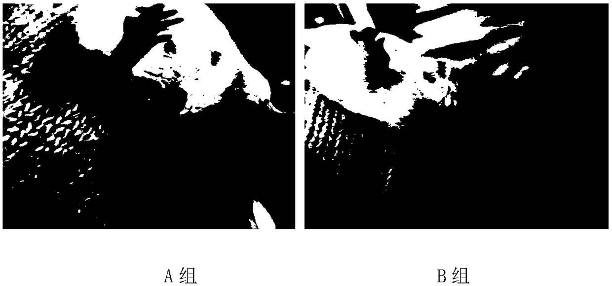 Method of establishing mouse model of functional dyspepsia