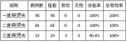 Traditional Chinese medicine preparation for treating burns and scalds through external application and preparation method of traditional Chinese medicine preparation