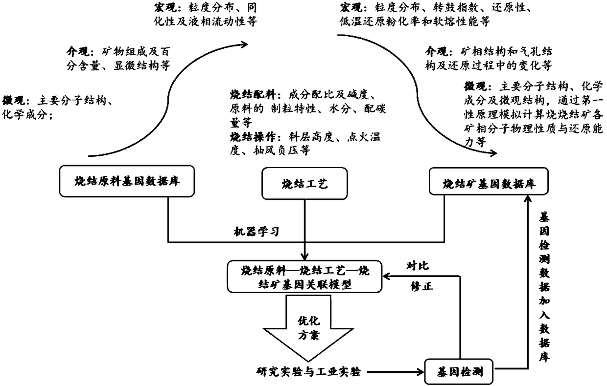 Sintered ore sintering model determination method and system based on material genes