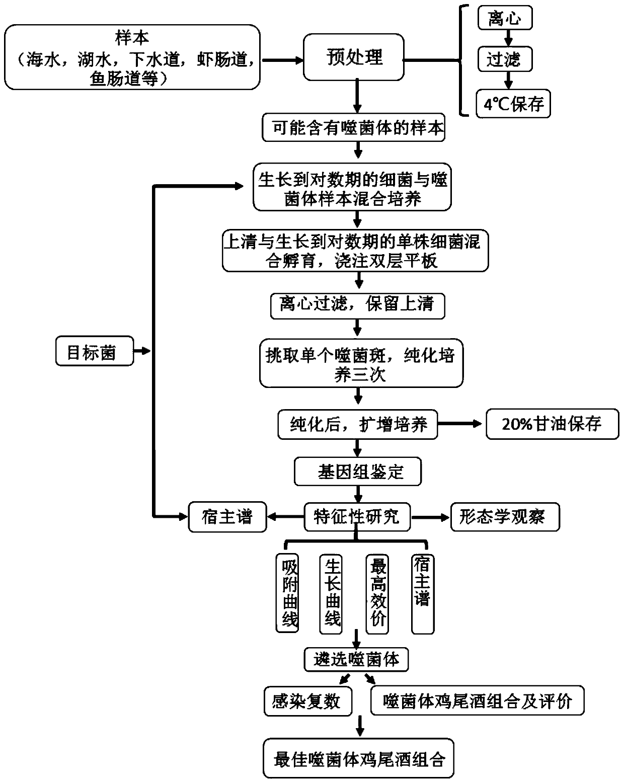 Aeromonas salmonicida bacteriophage, bactericidal composition containing same and application thereof