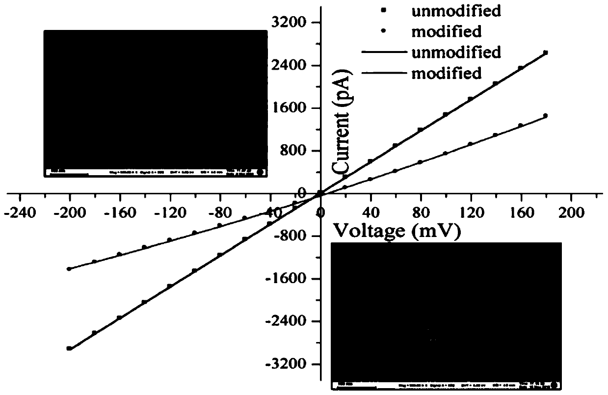 A method for detecting hydrogen peroxide based on solid-state nanopores