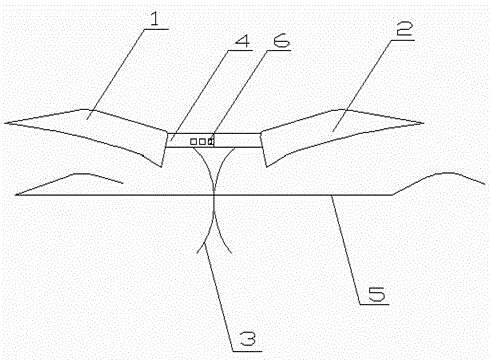 Novel eyebrow penciling device