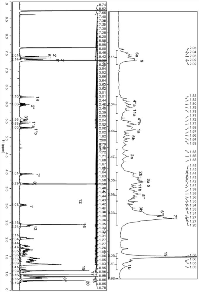 Scopaisoester, preparation method and application thereof, and pharmaceutical composition