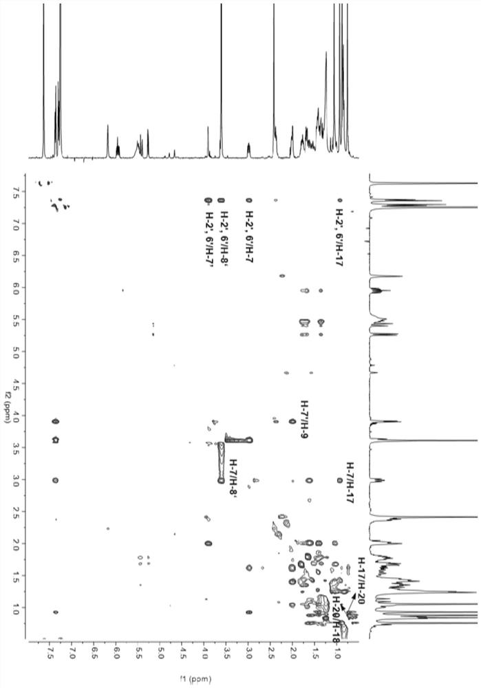 Scopaisoester, preparation method and application thereof, and pharmaceutical composition