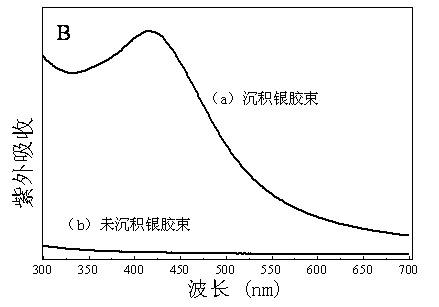 Antibacterial nano silver modified polymeric micelle and preparation method thereof