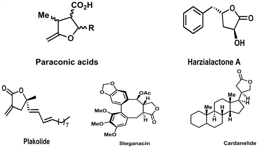 Method for asymmetrically synthesizing dihydrofuran-2-(3H)-one compound under catalysis of nickel