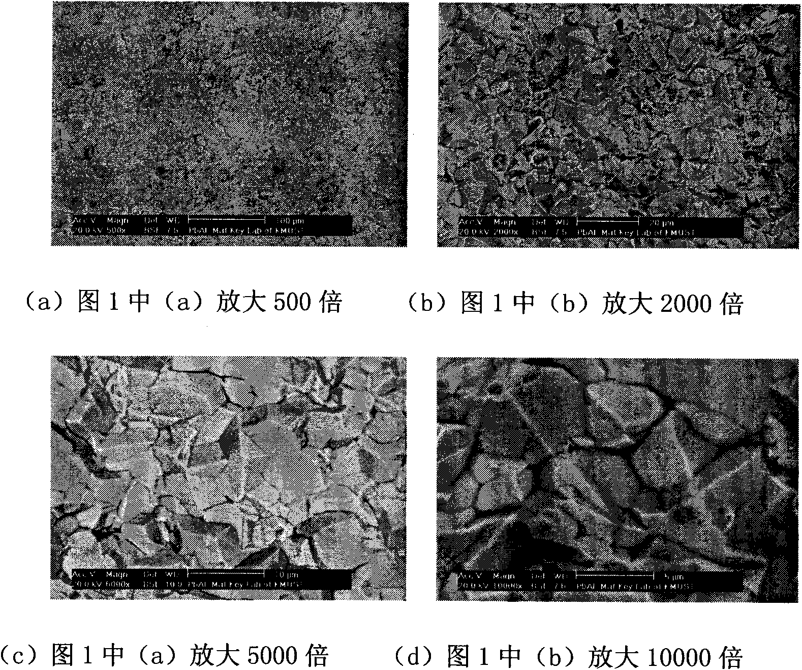 Method for directly electroplating lead on surface of aluminium and aluminium alloy