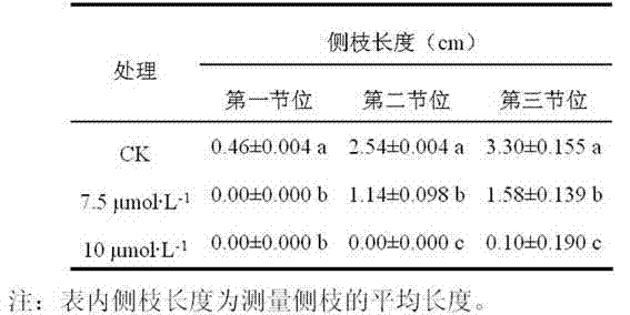 Method for inhibiting growth and development of tomato lateral branches