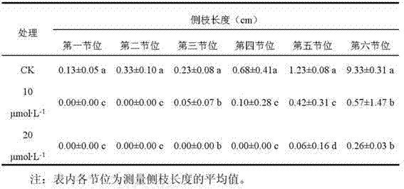 Method for inhibiting growth and development of tomato lateral branches