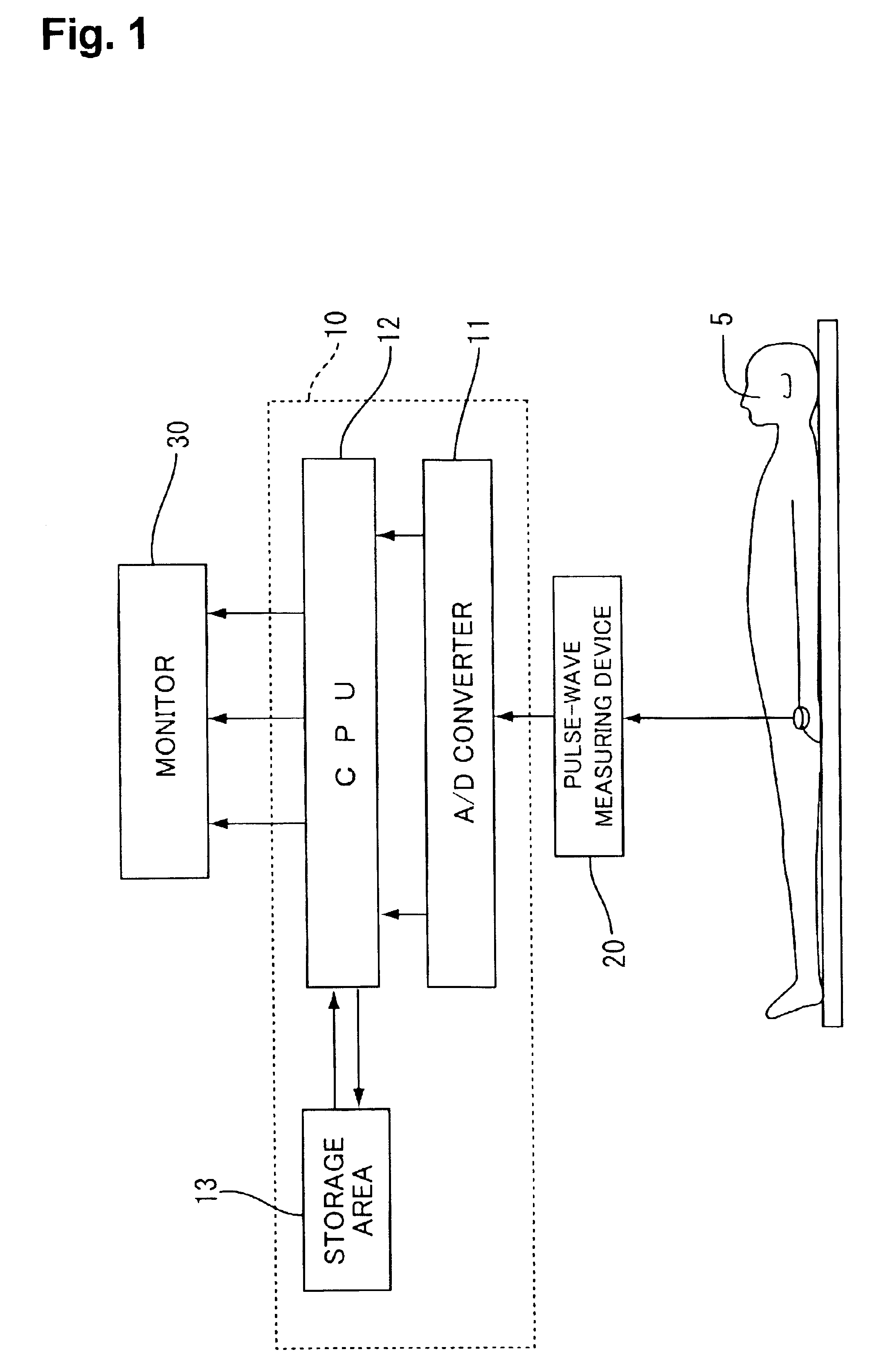 Biological data observation apparatus