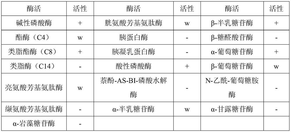 A new genus strain with alginolytic ability and its application to Phaeocystis globosa