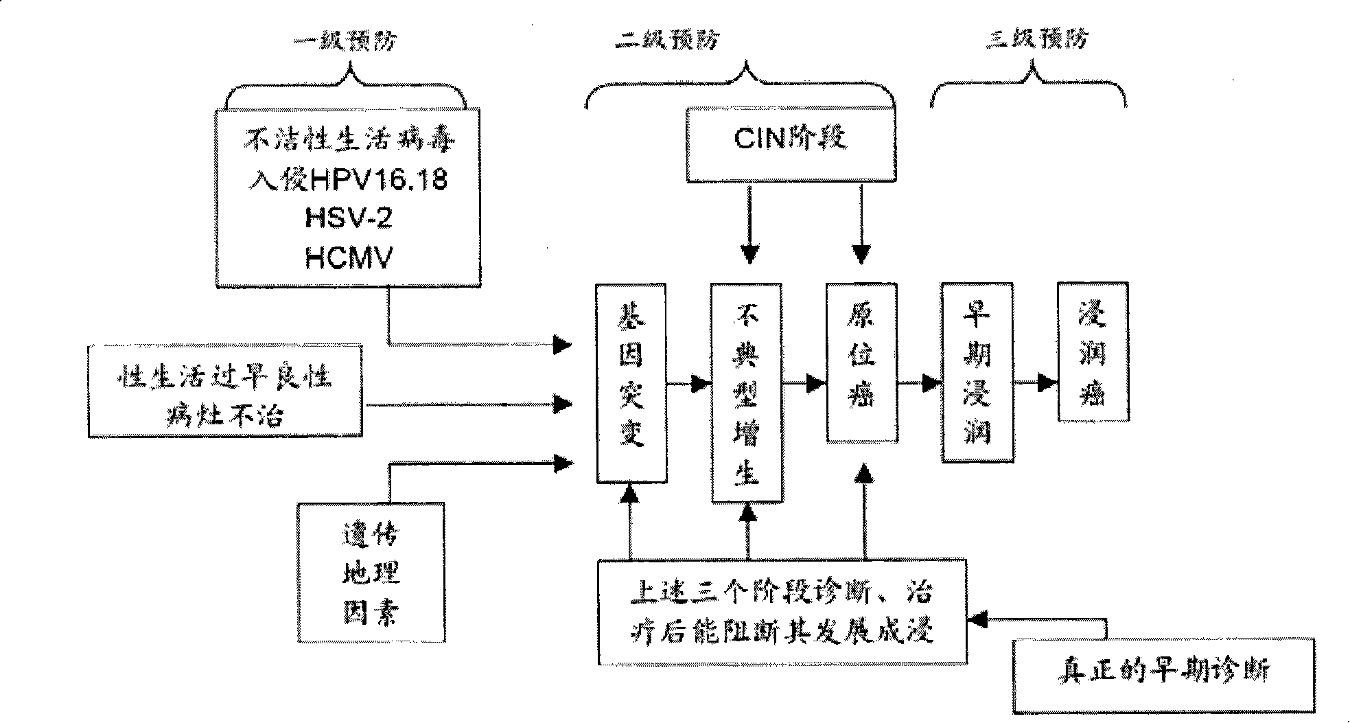 Portable cervical cancer precancerosis diagnostic equipment