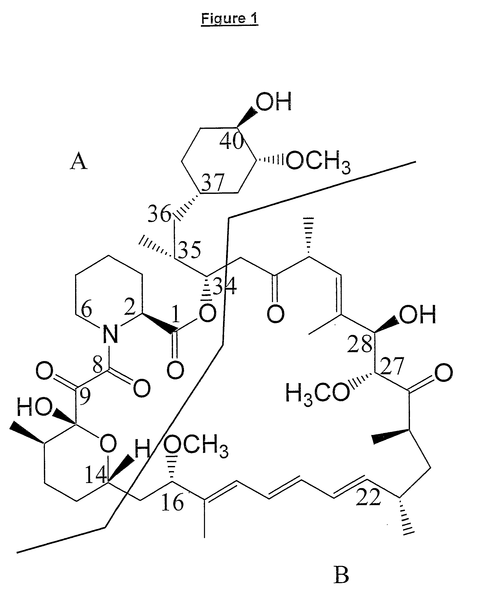 Production Of Polyketides And Other Natural Products