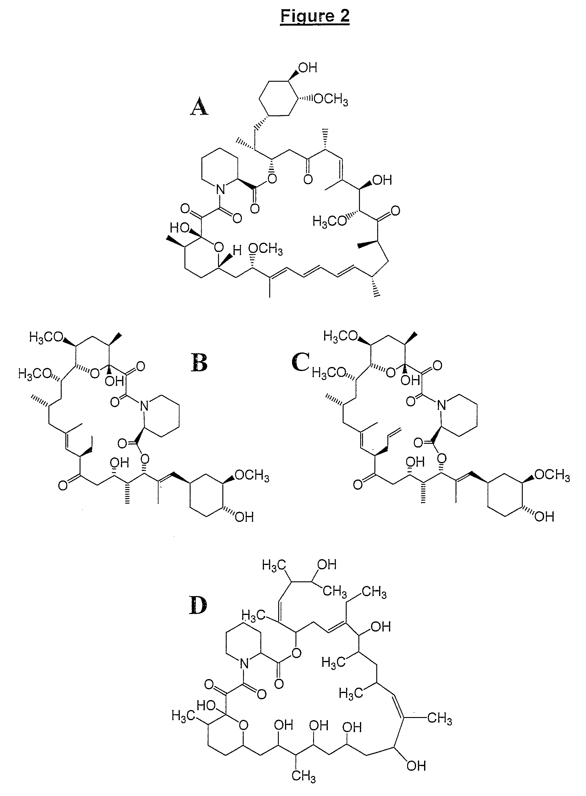 Production Of Polyketides And Other Natural Products