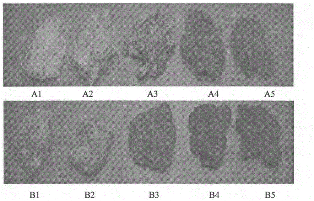 Low-temperature softening treatment method for jute fibers