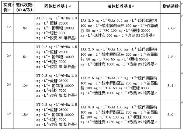 A kind of culture method of masson pine tissue culture subculture bud proliferation and rejuvenation