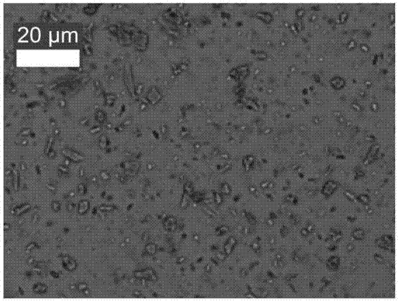 Method for preparing graphene oxide