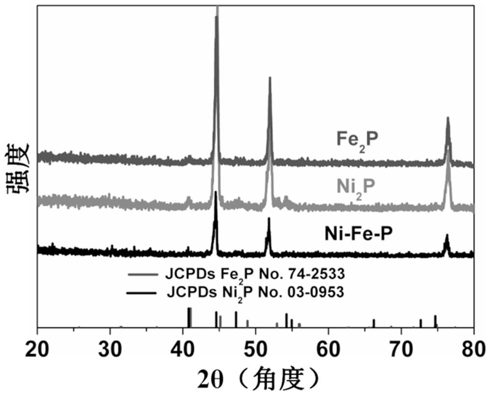 Preparation method of self-supporting ferronickel phosphide composite nanosheet