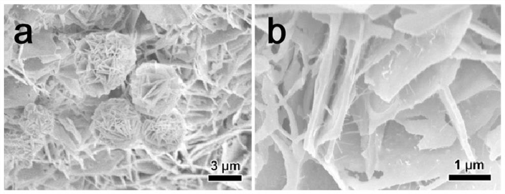 Preparation method of self-supporting ferronickel phosphide composite nanosheet