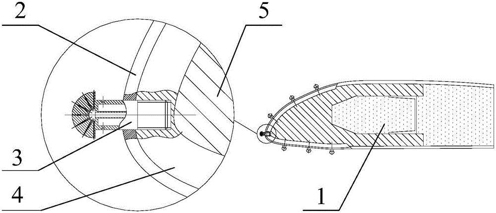 Helicopter rotor ice preventing/removing method for spraying freezing condensation nucleuses and deicing liquid through injector heads