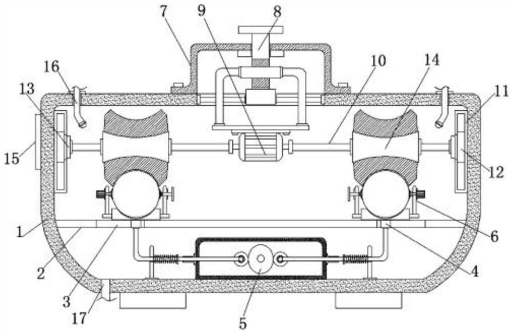 Rubber ball cleaning facility and method for pet dog