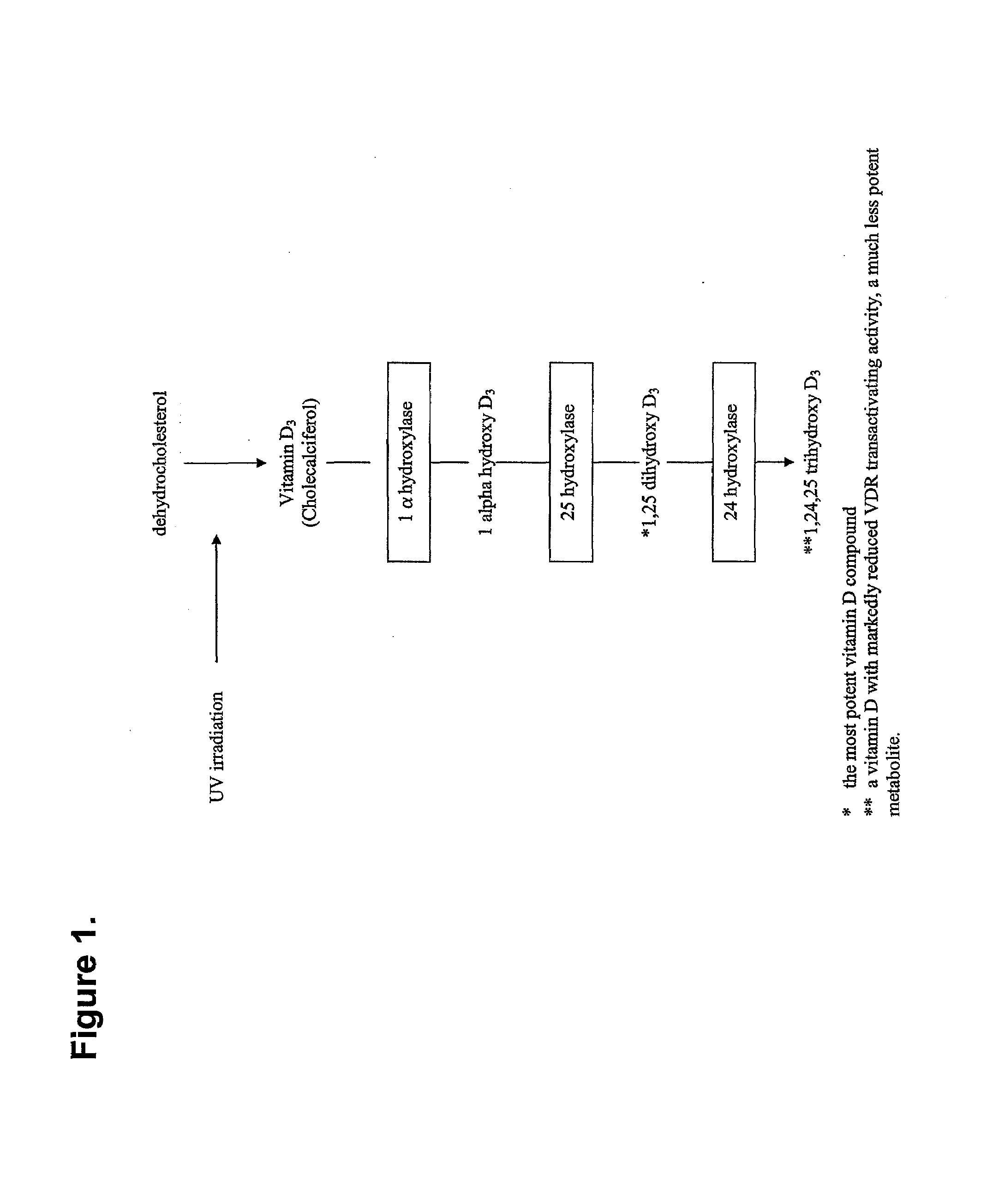 Method for identifying altered vitamin d metabolism