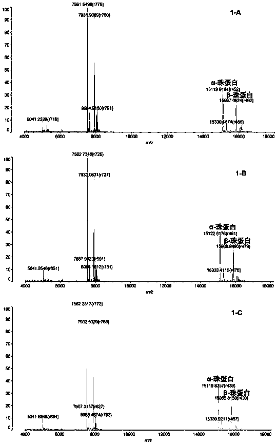 Characteristic protein mass spectrum model for mass spectrum diagnosis of thalassemia and application of model