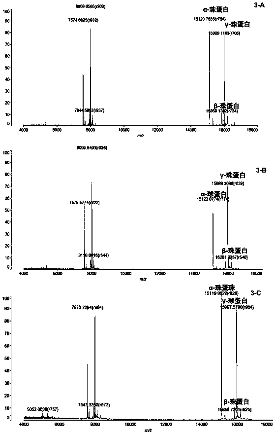 Characteristic protein mass spectrum model for mass spectrum diagnosis of thalassemia and application of model