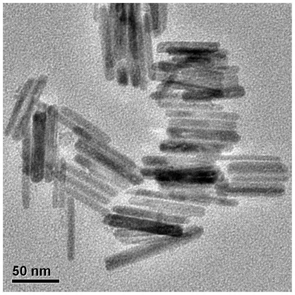 A kind of metal sulfide nanomaterial and its preparation method and application